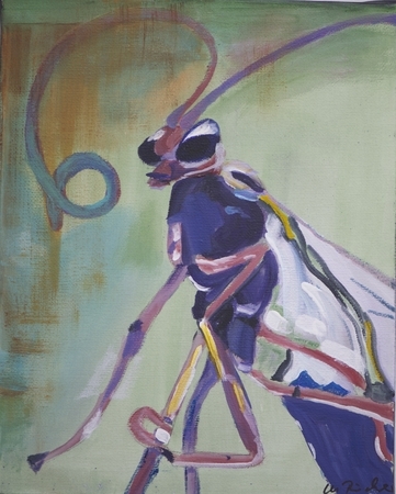 Mosquito